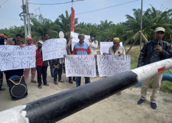 Diduga Rubah Kawasan Hutan jadi Kebun Kelapa Sawit, Masyarakat Minta Presiden Prabowo Tutup PT DMK