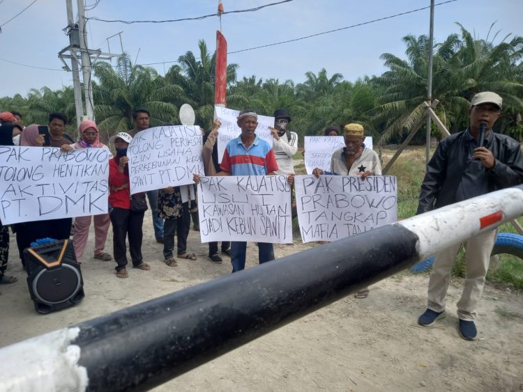 Diduga Rubah Kawasan Hutan jadi Kebun Kelapa Sawit, Masyarakat Minta Presiden Prabowo Tutup PT DMK 