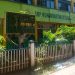 Dinas Kebersihan Kota Bitung Diminta Perhatikan Lingkungan Hidup, Potongan Pohon Mengganggu Akses SMP Muhammadiyah
