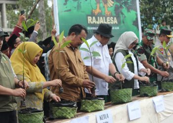 Gelar Peringatan Hari Mangrove Sedunia 2025, BDPN INHIL : Dari Desa Belaras Barat untuk Dunia
