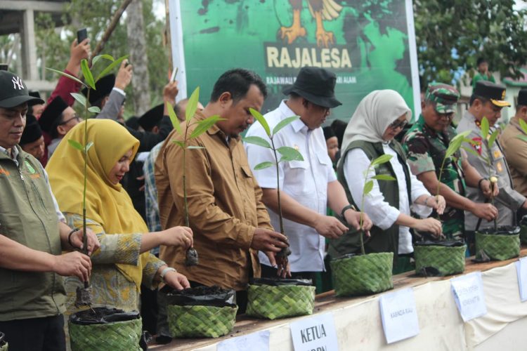 Gelar Peringatan Hari Mangrove Sedunia 2025, BDPN INHIL : Dari Desa Belaras Barat untuk Dunia
