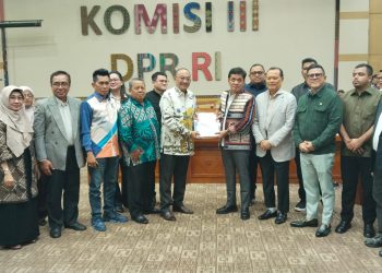 Mahupiki Usul Tujuh Poin untuk Pembahasan RUU KUHAP