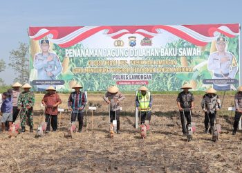 Polres Lamongan Dukung Ketahanan Pangan Nasional, Lewat Penanaman Jagung di Desa Kedali