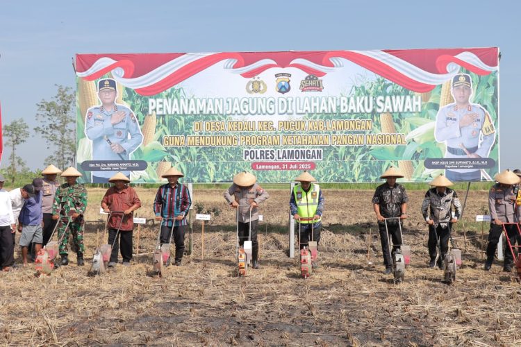 Polres Lamongan Dukung Ketahanan Pangan Nasional, Lewat Penanaman Jagung di Desa Kedali