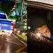 Viral di Media Sosial, Mobil Dinas Propam Tabrak Lari dan Keliling Kota Medan, Tercuat Dikendarai Oleh Sang Anak