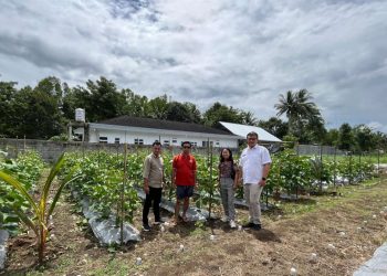 FABEM Sulut Dukung Pemda Swasembada Pangan dan Gerakan FABEM Pusat
