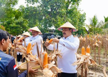 Dinilai Selaras dengan Asta Cita Presiden, Pengamat Puji Menteri Imipas Komjen Agus Berdayakan WBP Perkuat Ketahanan Pangan hingga BLK: Progresif