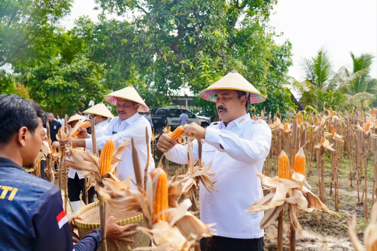 Dinilai Selaras dengan Asta Cita Presiden, Pengamat Puji Menteri Imipas Komjen Agus Berdayakan WBP Perkuat Ketahanan Pangan hingga BLK: Progresif