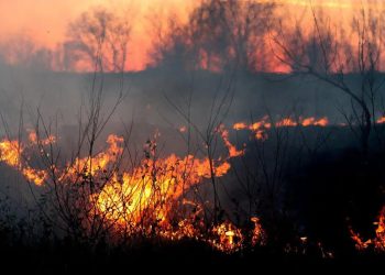 Cuaca Panas Ekstrem Rentan Si Jago Merah Membara, Pemkab Labusel Imbau Warga Waspada