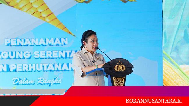 Ketua Komisi IV DPR RI Titiek Soeharto Apresiasi Kapolri Gaspol Tanam Jagung Percepat Swasembada Pangan