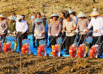 Kapolri Jenderal Sigit Pimpin Penanaman Jagung Kuartal III se Indonesia: Wujudkan Swasembada Pangan