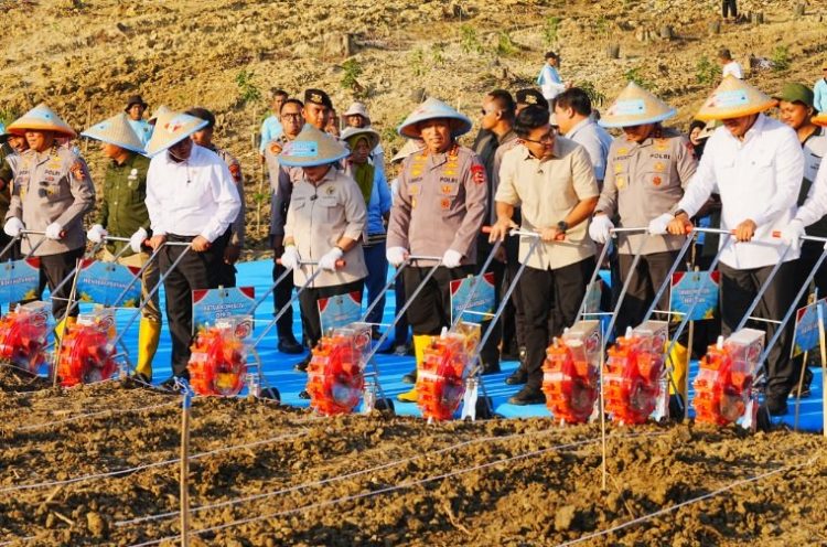 Kapolri Jenderal Sigit Pimpin Penanaman Jagung Kuartal III se Indonesia: Wujudkan Swasembada Pangan