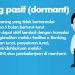 PPATK Memblokir Rekening Dormant, Termasuk 10 Juta Rekening Bansos, Dengan Total Dana Rp 2,1 Triliun