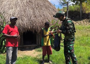 Berbagi Bibit Pertanian Satgas Yonif 521/DY di Distrik Walesi, Jayawijaya