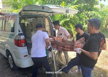 GRIB JAYA Labuhanbatu Peduli, Bantu Warga Sebatang Kara yang Sakit Dibawa ke RS