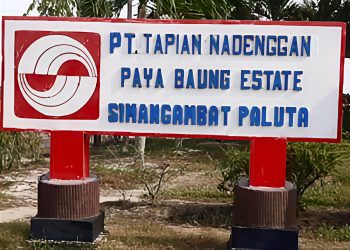 Dugaan Kriminalisasi Warga Dalam Kasus Pencurian Buah Sawit di PTTN, Tokoh Pemuda Ingatkan Polsek Padangbolak Transparansi & Keadilan
