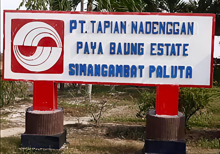 Dugaan Kriminalisasi Warga Dalam Kasus Pencurian Buah Sawit di PTTN, Tokoh Pemuda Ingatkan Polsek Padangbolak Transparansi & Keadilan
