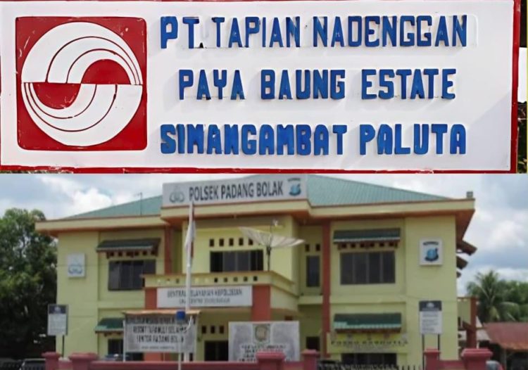 Dugaan Kriminalisasi Warga, Kapolsek Padangbolak Bungkam, PTTN Bantah