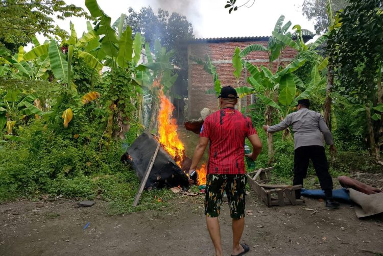 Polisi Bongkar Arena Sabung Ayam, Usai Laporan Masyarakat