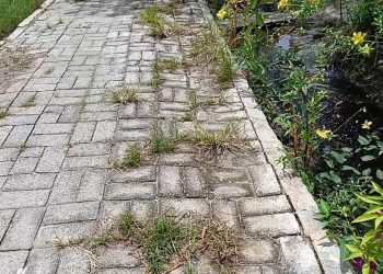 Memperhatinkan! Diduga Pengerjaan Proyek Jalan Paving Blok di Desa Sei Rampah Asal Jadi
