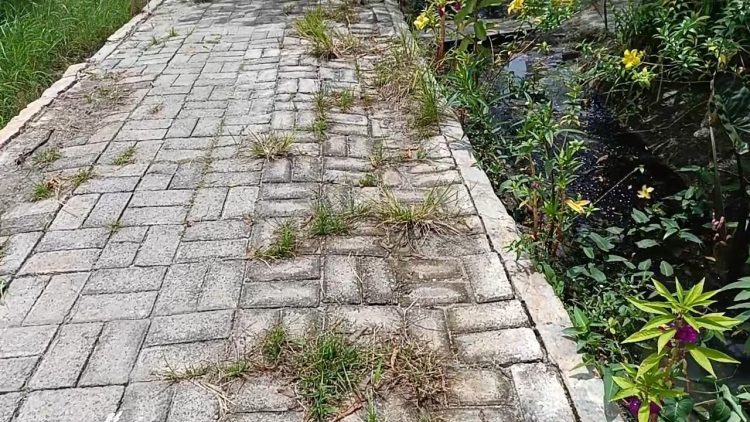 Memperhatinkan! Diduga Pengerjaan Proyek Jalan Paving Blok di Desa Sei Rampah Asal Jadi