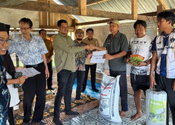 Pemkab Pinrang Salurkan Bantuan Saprodi Budidaya Cabe Rawit