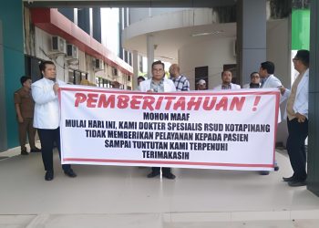 RSUD Kotapinang Lumpuh, Dokter Spesialis Mogok Kerja Tuntut Pembayaran Remunerasi dan Perbaikan Manajemen