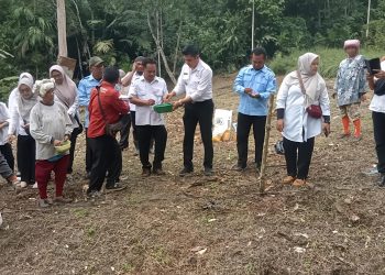 Budidaya Jagung dan Ikan Lele Desa Situmbaga, Diharapkan Memberi Dampak Signifikan Peningkatan Ekonomi Masyarakat Desa