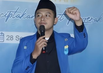Mewujudkan Demokrasi Sehat dan Beradab Dengan Penyampaian Aspirasi Elegan Tanpa Anarkis
