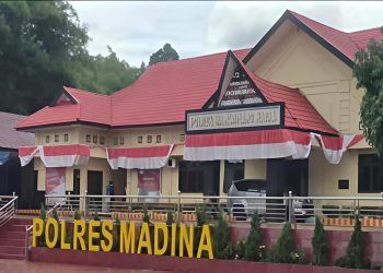 Kasus Penganiayaan di Disdukcapil Madina, Rahmadani Lubis Laporkan Beni Fatahilah ke Polisi