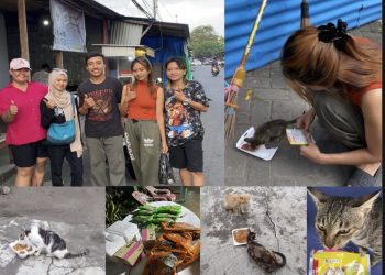 Aksi Banua Cat Lovers Patutdi Contoh Beri Makan Kucing Jalanan Tanpa Henti