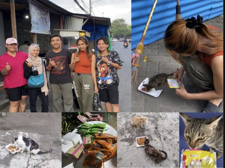Aksi Banua Cat Lovers Patutdi Contoh Beri Makan Kucing Jalanan Tanpa Henti