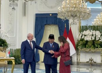 Pertemuan Prabowo – Presiden Brasil Hasilkan 8 MoU, Berikut Isinya