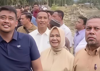 Stop Pencitraan, Pengamat: Urusan Plat Kendaraan Bukan Tugas Gubernur, Fokus Tingkatkan PAD