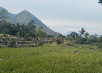Oknum Polisi Diduga Terlibat Kasus Lahan Sewa Diubah Jadi Hak Milik. Togap Silalahi : Saya Tunggu Di Pengadilan