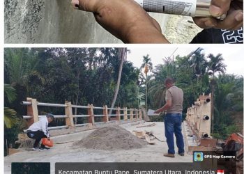 Tim Teknis Kontruksi DPC LSM PMPRI : Kwalitas Jembatan Terindikasi Tidak Sesuai RAB