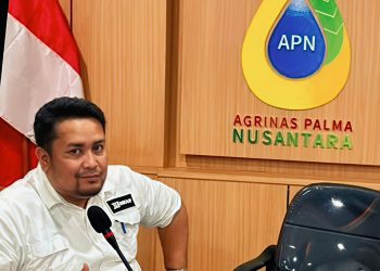 PT Agrinas Palma Nusantara Profesional Dalam KSO, Hendry: Mendukung Tindakan Tegas Dalam Penegakan Aturan KSO