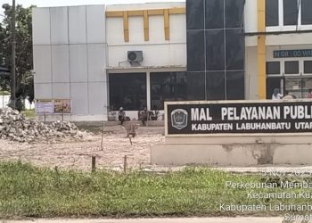 GEMA CITA Minta Kejatisu Periksa Zulkarnaen, Proyek DPMPTSP Labura Diduga Dimulai Sebelum Kontrak