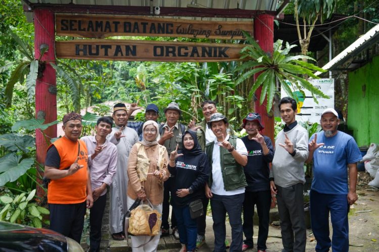 Komunitas MPHI Dorong Gagasan Hutan Organik untuk Konservasi dan Kesejahteraan Rakyat