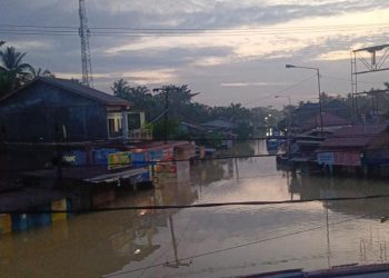 Banjir, Masyarakat Desa Tanjung Pura Terancam Mati Kelaparan