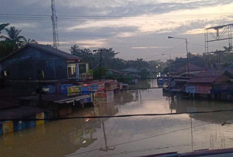 Banjir, Masyarakat Desa Tanjung Pura Terancam Mati Kelaparan