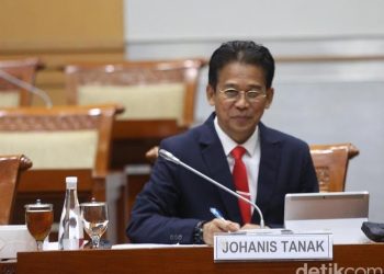Pimpinan KPK Tak Bisa Intervensi Keputusan Presiden Soal Rehabilitasi IP Dkk