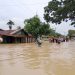 Kondisi Terkini, Banjir di Tanjung Pura dan Dampak Penderitaan Warga, Pemerintah Belum Terlihat
