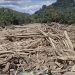 KORSA Desak APH Periksa Eks Kadis LHK Sumut, Kepala KPH X dan XI, hingga Kabid Terkait Banjir Bandang dan Temuan Kayu Berpotongan Rapi