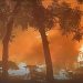 Kalibata Mencekam” Warung, 6 Motor dan 1 Mobil di Bakar, Ini Pernyataan Sikap Warga Masyarakat KALIBATA