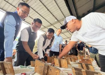 BULOG Sidak dan Monitoring Harga Pangan Jelang Nataru