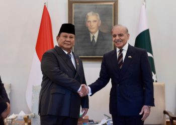 Bertemu PM Pakistan, Prabowo Tegaskan Komitmen Dukung Kemerdekaan Palestina