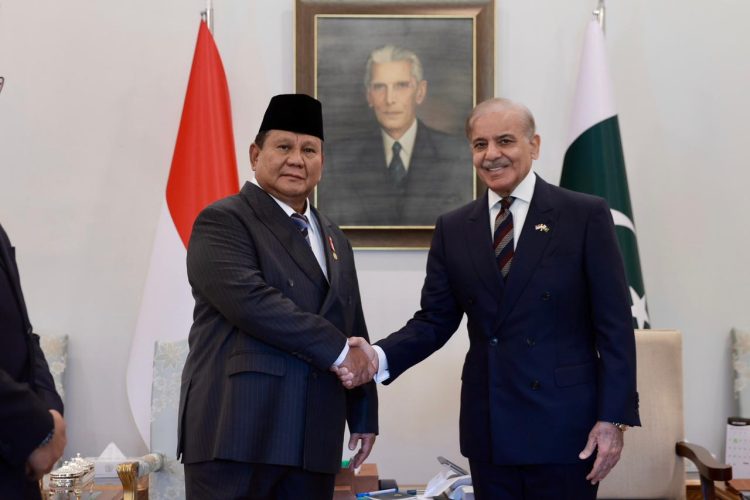Bertemu PM Pakistan, Prabowo Tegaskan Komitmen Dukung Kemerdekaan Palestina