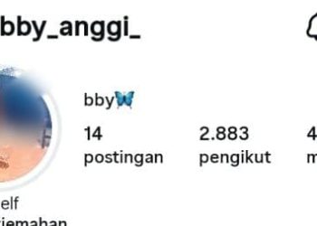 Serang Nama Baik , Akun Pribadi @bby_anggi Resmi Dipolisikan