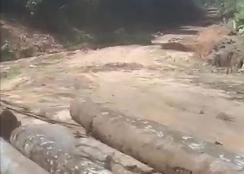 Ketua Lembaga Adat Laporkan PT PLS dan Kepala Desa Mosa Gunung Baringin Ke Kejagung RI Terkait Adanya Dugaan Alih Fungsi Hutan